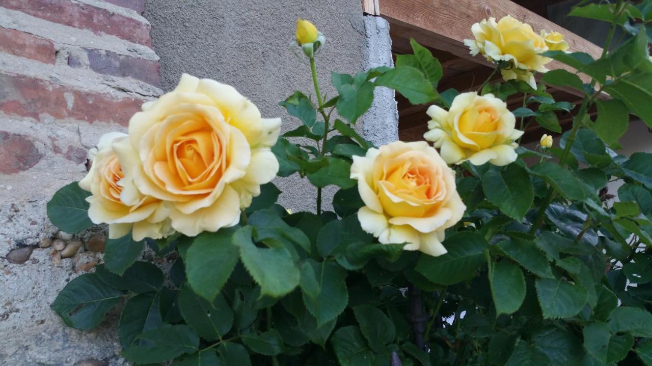La Providence 호텔 Illiat 외부 사진